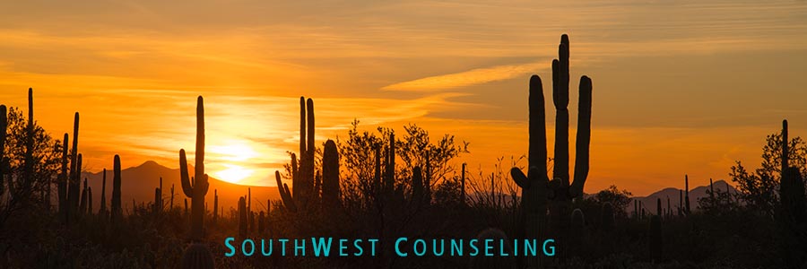 , Anna Schwenk, Southwest Counseling